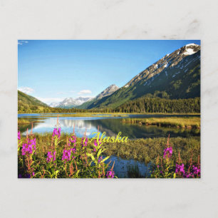 Cartão Postal Fotografia de paisagem cênica do Alasca
