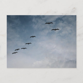 Cartão Postal Fotografia de Pássaros em Formação de Voo na Praia