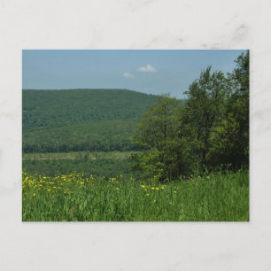 Cartão Postal Fotografia de Verão de Laurel Highlands Pensilvâni