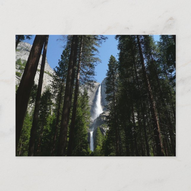 Cartão Postal Fotografia de Yosemite Falls and Woods Landscape (Frente)