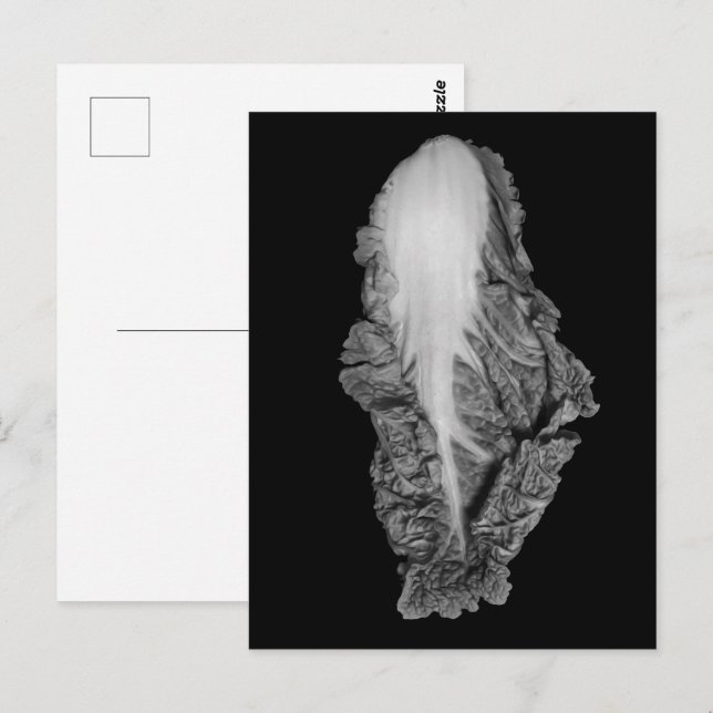 Cartão Postal Fotografia do Retrato de Couve Chinês (Frente/Verso)