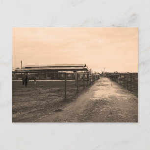 Cartão Postal Fotografia do Tom Sepia