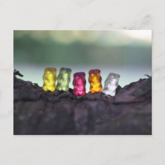 Cartão Postal Fotografia dos Ursos de Goma da Diversidade Colori