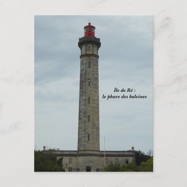 Cartão Postal Fotografia Île de Ré, França - (Frente)