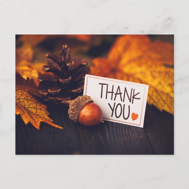 Cartão Postal Fotografia Pumpkin Fotografia de Ação de Graças (Frente)