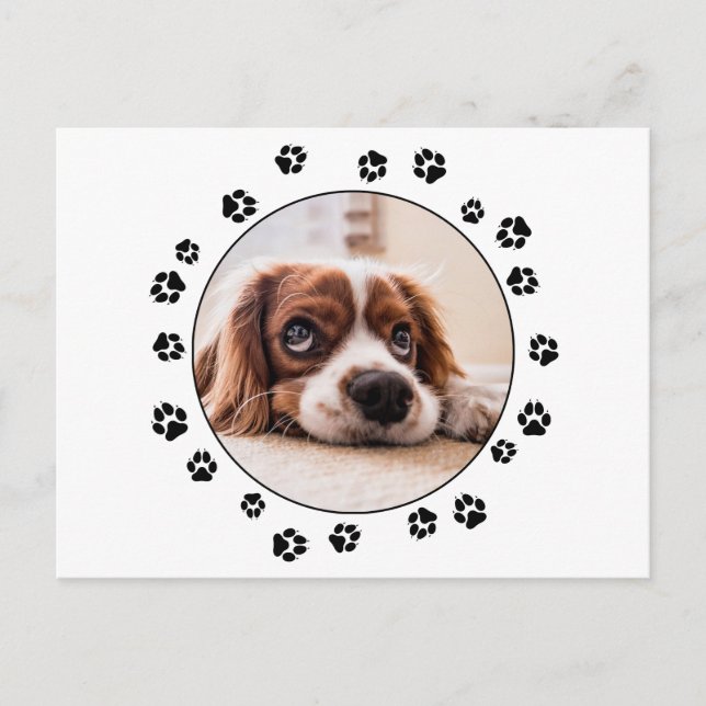 Cartão Postal Fotografia Puppy Black Pawprint (Frente)