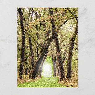 Cartão Postal Fotografia "The Portal"