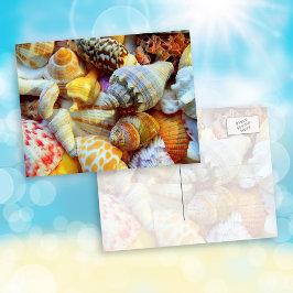 Cartão Postal Fotografias de Conchas Tropicais em Cartões-Postai