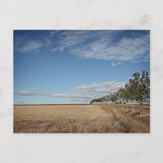 Cartão Postal fotografias del Camino de santiago