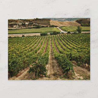 Cartão Postal fotografias del Camino de santiago