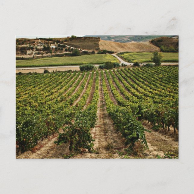 Cartão Postal fotografias del Camino de santiago (Frente)