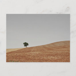 Cartão Postal fotografias del Camino de santiago