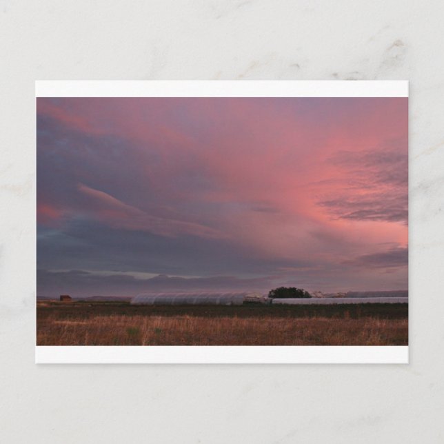 Cartão Postal fotografias del Camino de santiago (Frente)