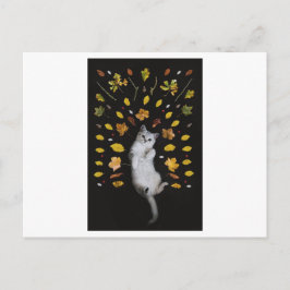 CARTÃO POSTAL FOTOGRÁFICO GATO E SAI