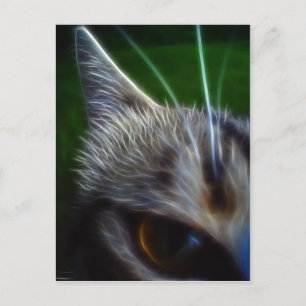 Cartão Postal Fotomanipulação Ocular de Gato