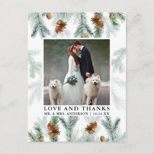 Cartão Postal Fotos de casamento de amor e gratidão de pinheiros