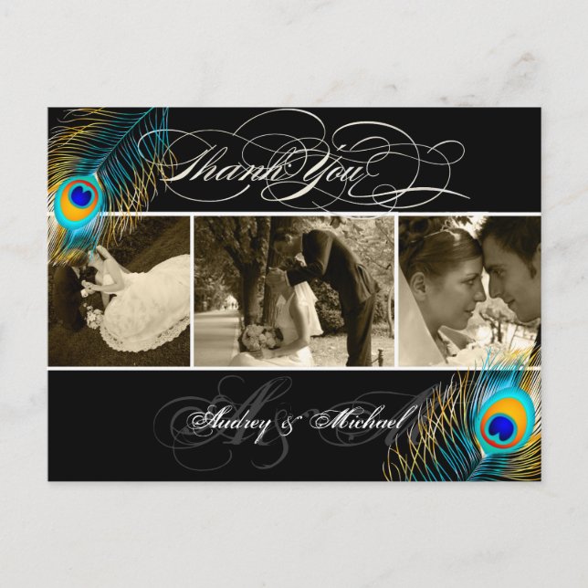 Cartão Postal Fotos de Casamento do PixDezines Peacock (Frente)