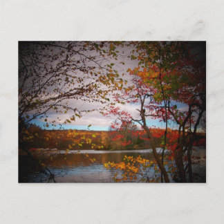 Cartão Postal fotos naturais