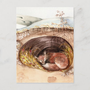 Cartão Postal Fox Borrow