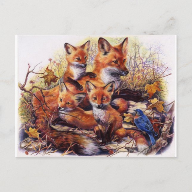 Cartão Postal Fox Family Portrait (Frente)