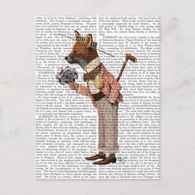 Cartão Postal Fox in Boater (Frente)