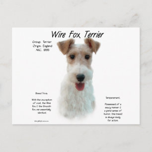 Cartão Postal Fox Terrier History; sobre o arame fox terrier