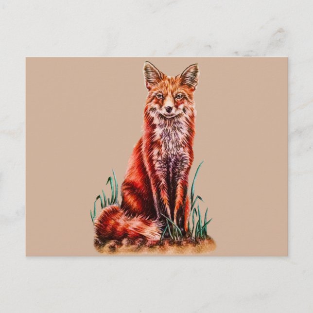 Cartão Postal Fox Vermelha Desenhando Lápis De Arte Animal Foxy (Frente)