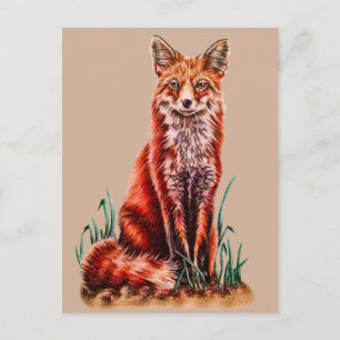 Cartão Postal Fox Vermelha Desenhando Lápis De Arte Animal Foxy