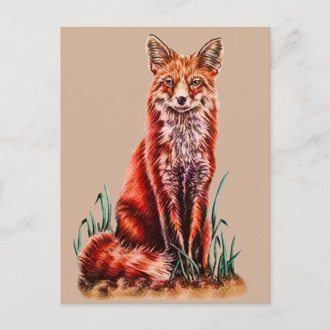 Cartão Postal Fox Vermelha Desenhando Lápis De Arte Animal Foxy (Frente)