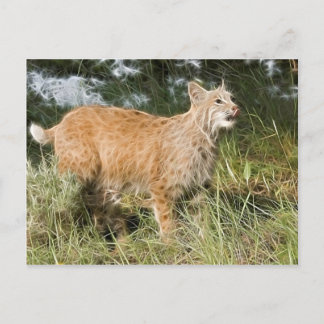 Cartão Postal Fractalius Bobcat
