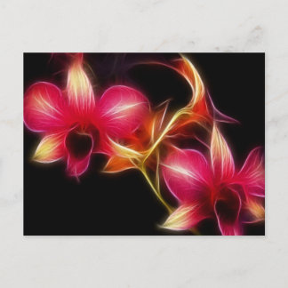 Cartão Postal Fractalius Pink Orchid