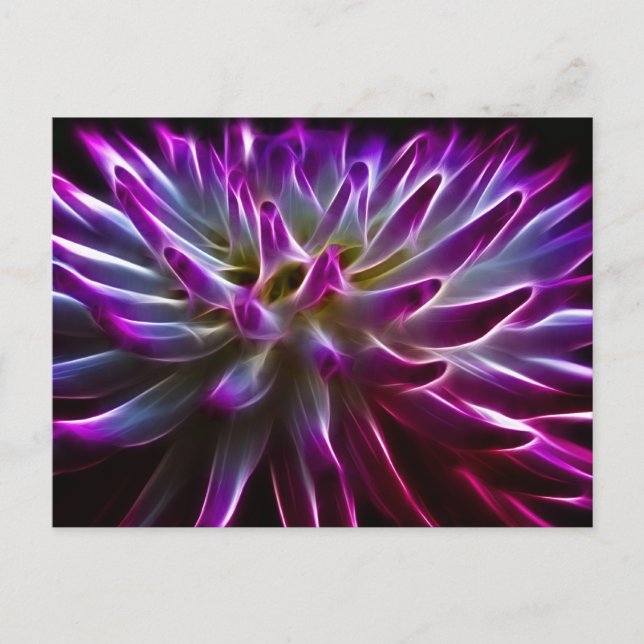 Cartão Postal Fractalus Dahlia (Frente)