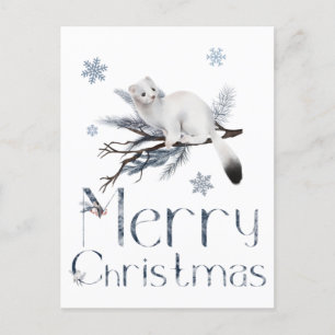 Cartão Postal Fragmentos Brancos Em Pinheiros