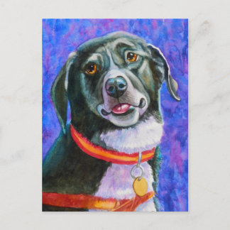 Cartão Postal Framboesa de Cachorro Negra