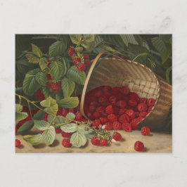 Cartão Postal Framboesas