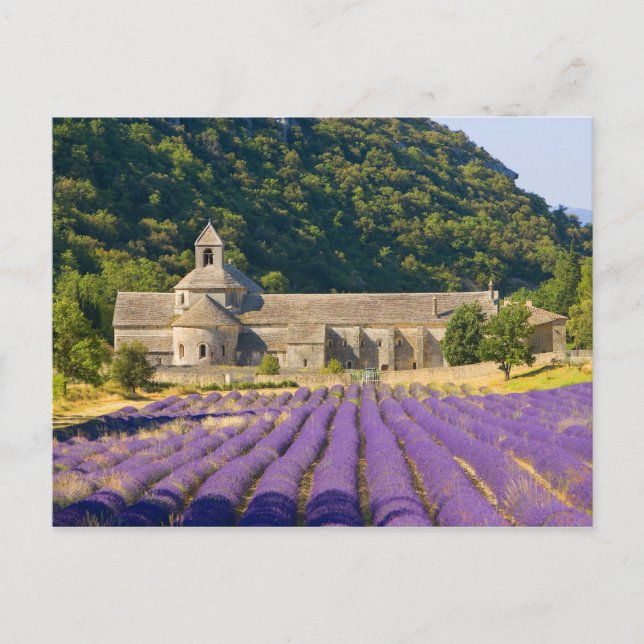 Cartão Postal França, Gordes. Mosteiro de Cisterciano (Frente)