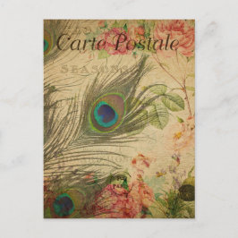 Cartão Postal Francês Estilo Antigo Pena de Pavão
