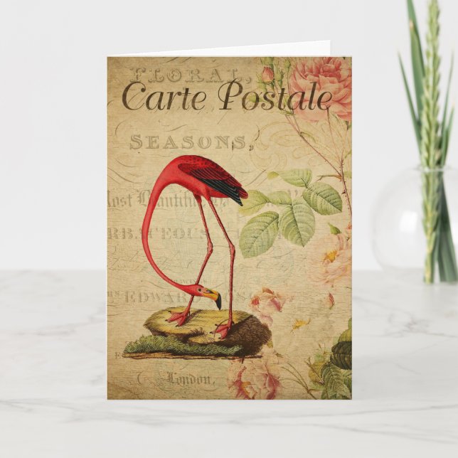 Cartão postal francês Flamingo Vintage (Frente)