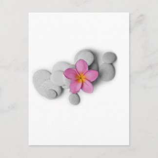Cartão Postal Frangipani Calm