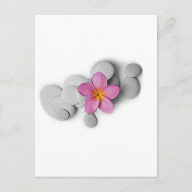 Cartão Postal Frangipani Calm (Frente)