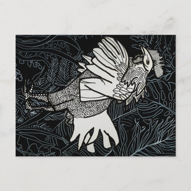 Cartão Postal Frango 3 (Frente)