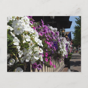 Cartão Postal Frankenmuth, Michigan