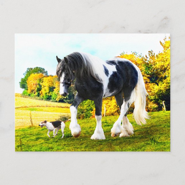 Cartão postal "Frankie & Tessa" (Frente)