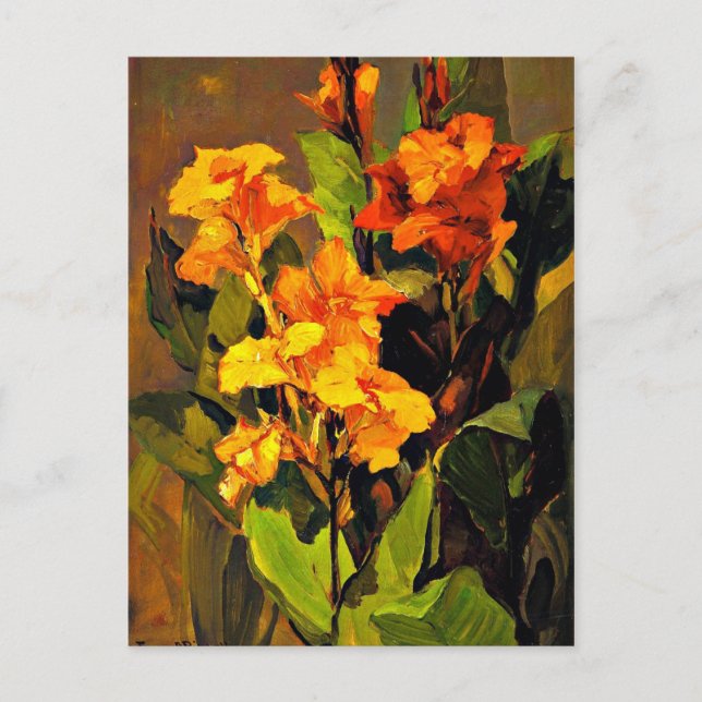 Cartão Postal Franz Bischoff - Canna Lily (Frente)