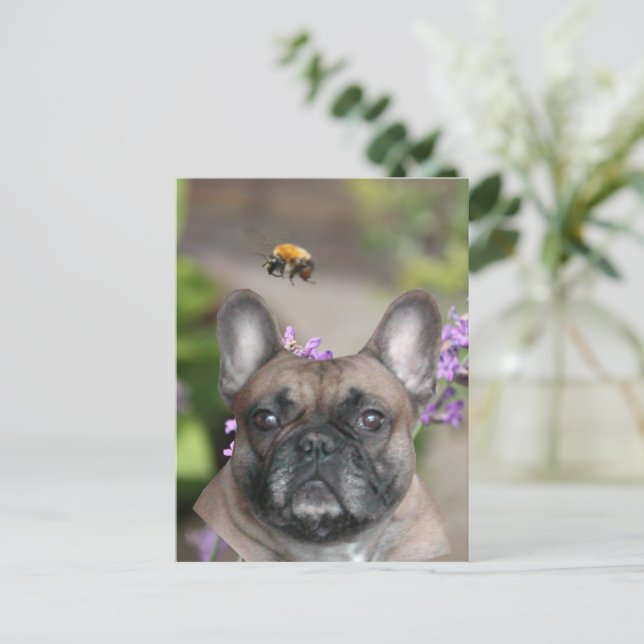 Cartão Postal Französische Bulldogge Weihnachten French Bulldog (Em pé/Frente)