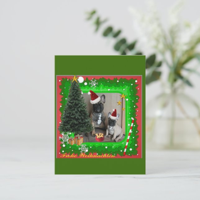 Cartão Postal Französische Bulldoggen Weihnachtskarte Feiertagsk (Em pé/Frente)
