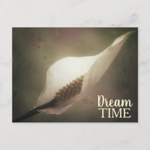 Cartão Postal Frase do Tempo do Peace Lily Dream