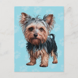 Cartão Postal Frazzled Yorkie Dog Postcard Yorkshire Terrier