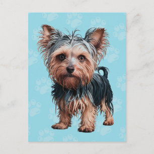 Cartão Postal Frazzled Yorkie Dog Postcard Yorkshire Terrier