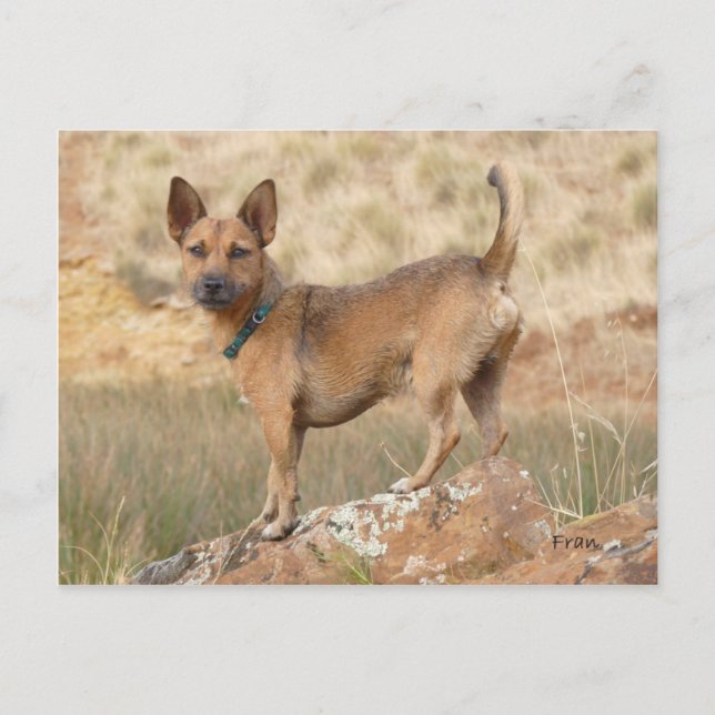 Cartão Postal Fred (Frente)